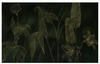KOMAR Vliestapete "Darkest Green" Tapeten 400x250 cm (Breite x Höhe),...