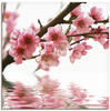 Artland Wandbild "Pfirsichblüten reflektieren im Wasser", Blumen, (1 St.), als