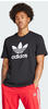 T-Shirt ADIDAS ORIGINALS "TREFOIL T-SHIRT" Gr. L, schwarz (black) Herren Shirts