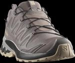 Salomon Trailrunningschuh "XA PRO 3D V9 GORE-TEX W" wasserdicht