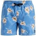 Quiksilver Boardshorts "Everyday Straight 15""