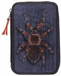 Depesche Buntstift "2-Fach Federtasche mit Spinne Adventure World 5,5 x 12 x 19 cm