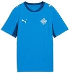 Trainingsshirt PUMA "Island 2026 Heimtrikot Jugendliche", Kinder, Gr. 176, electro