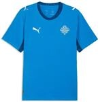 Trainingsshirt PUMA "Island 2026 Heimtrikot Herren", Herren, Gr. S, blau (electro