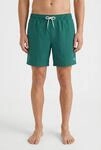 Badeshorts O'NEILL "O'NEILL VERT 16'' SWIMSHORTS", Herren, Gr. M, N-Gr, gr&uuml;n
