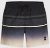 ONeill Badeshorts "ONEILL GRADIENT 15 SWIMSHORTS" mit elastischem Bund und...