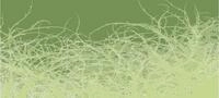 Architects Paper Fototapete "Atelier 47 Thorn Style 1" floral glatt Vlies, Wand,