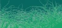 Architects Paper Fototapete "Atelier 47 Thorn Style 1" floral glatt Vlies, Wand,
