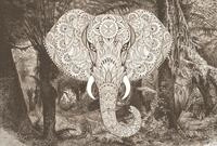 Architects Paper Fototapete "Atelier 47 Elephant Head 1" orientalisch glatt...