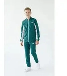 Trainingsanzug PUMA "POLY BASEBALL SUIT B", Jungen, Gr. 176, emerald ice, Trikot,