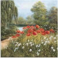 Artland Wandbild "Mohnwiese am See" Blumenwiese 1 Stk. tlg. als Alubild,