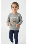 Sweatshirt NAME IT "NMFREAR LS SWEAT BRU", M&auml;dchen, Gr. 104, grau melange,