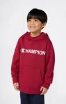 Champion Kapuzensweatshirt "SPORTWEAR HOODIE Standard Fit"