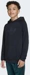 adidas Originals Kapuzensweatshirt "GFX TR LO HO"