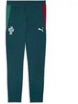 Sporthose PUMA "Portugal Slim Trainingshose Herren", Gr. S, Normalgr&ouml;&szlig;en, gr&uuml;n