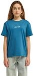 T-Shirt ELEMENT "Lowcase", Jungen, Gr. 14(155-164cm), blau (mallard blau),
