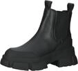 STEVE MADDEN Stiefelette "STEVE MADDEN Stiefelette Leder/Textil"