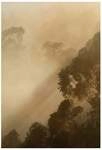 Komar Bild "Golden Light" Natur 1 Stk. tlg. Wandbild zur Dekoration - ohne Rahmen