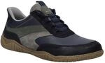 Josef Seibel Sneaker "Wallace 06, ocean-multi"