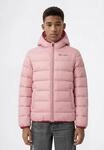 Steppjacke CHAMPION "SPORTWEAR JACKET Standard Fit", Jungen, Gr. L, dpu,