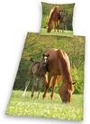 Herding Young Collection Kinderbettw&auml;sche "Pferd mit Fohlen" 2 Stk. f&uuml;r