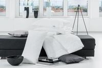 Centa-Star Kunstfaserbettdecke "Famous" leicht 1 Stk. tlg. Bezug mit spezieller,
