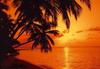 PAPERMOON Fototapete "Tropic Sunset" Tapeten Gr. B/L: 3,5 m x 2,6 m, Bahnen: 7 St.,