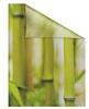 Fensterfolie LICHTBLICK ORIGINAL "Bambus" Fensterfolien Gr. B/L: 100 cm x 180...