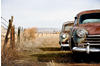 PAPERMOON Fototapete "Vintage Rusting Cars" Tapeten Gr. B/L: 5 m x 2,8 m,...