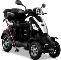 Rolektro Elektromobil "Rolektro E-Quad 25 V.2, Blei-Gel-Akku" 1.000 W 25 km/h mit