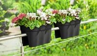Balkonkasten KHW "Flowerclip XXL", grau (anthrazit), B:57,5cm H:27cm T:27,7cm,
