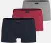 TOM TAILOR Hipster "Colorado" Packung, 3er Pack, bequem, eng, elastisch,