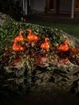 KONSTSMIDE Dekoobjekt "Flamingos f&uuml;r Au&szlig;en" LED Acryl Flamingos, 5er-Set, 40