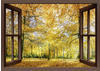 Wandbild ARTLAND "Fensterblick - Herbstwald Panorama" Bilder Gr. B/H: 100 cm x...