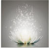 Artland Glasbild "Magie der Lotus-Blume", Blumen, (1 St.)