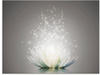 Glasbild ARTLAND "Magie der Lotus-Blume" Bilder Gr. B/H: 60 cm x 45 cm, Blumen,...