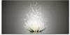 Glasbild ARTLAND "Magie der Lotus-Blume" Bilder Gr. B/H: 100 cm x 50 cm,...