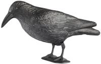 Windhager Vogelattrappe "Crow, 39,5 x 12,5 x 12,5 cm, Vogel- und Taubenabwehr"