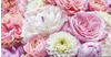 KOMAR Fototapete "Vibrant Spring" Tapeten 368x254 cm (Breite x Höhe), inklusive