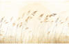 KOMAR Vliestapete "Dune Grass" Tapeten 400x250 cm (Breite x Höhe) Gr. B/L: 400...