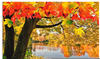 Artland Wandbild "Herbsttag an einem ruhigen See", Gewässer, (1 St.), als...