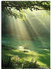 Glasbild ARTLAND "Lichtkegel" Bilder Gr. B/H: 50 cm x 100 cm, Wald, 1 St., grün