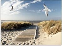 Artland Glasbild "Nordseestrand auf Langeoog mit M&ouml;wen" Strand 1 Stk. tlg. in