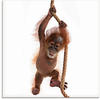 Artland Glasbild "Baby Orang Utan hängt am Seil I", Wildtiere, (1 St.), in