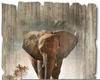 Artland Holzbild "Ein Elefant läuft auf der Straße", Wildtiere, (1 St.)