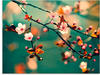 Glasbild ARTLAND "Japanische Kirsch Sakura Blumen" Bilder Gr. B/H: 60 cm x 45...