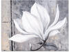 Glasbild ARTLAND "Klassische Magnolie" Bilder Gr. B/H: 80 cm x 60 cm, Blumen, 1...