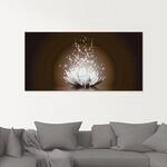 Artland Glasbild "Magie der Lotus-Blume" Blumen 1 Stk. tlg.