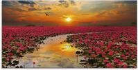 Artland Glasbild "Sonnenschein bl&uuml;hende Lotusblume" Blumen 1 Stk. tlg. in