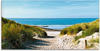 Glasbild ARTLAND "Strand mit Sanddünen und Weg zur See" Bilder Gr. B/H: 60 cm...